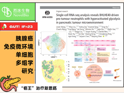 GUT重磅來襲！單細胞+空轉+免疫熒光的王炸組合，烈冰助力交大醫(yī)學院研究團隊解析胰腺癌免疫微環(huán)境