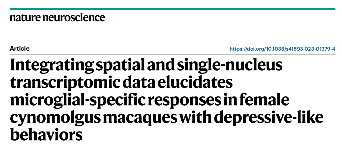 【烈冰助力】單細胞核測序+空間組學(xué)，烈冰生物助力重醫(yī)附一院神經(jīng)內(nèi)科團隊解析抑郁行為發(fā)生新機制