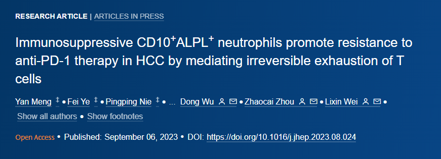 肝癌頂刊 Journal of Hepatology（IF 25.7）發(fā)現(xiàn)中性粒細胞與肝細胞癌（HCC）的免疫治療耐藥相關(guān)