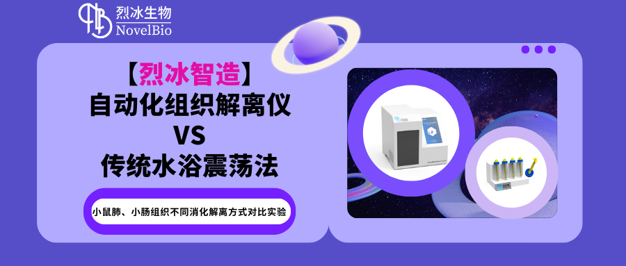 小鼠肺、小腸組織不同消化解離方式對比實驗