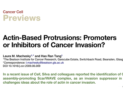 Machesky LM, et al. Actin-based?protrusions:?promoters?or?inhibitors?of?cancer?invasion? Cancer?Cell.?2009 Jul 7;16(1):5-7. (IF=23.893)